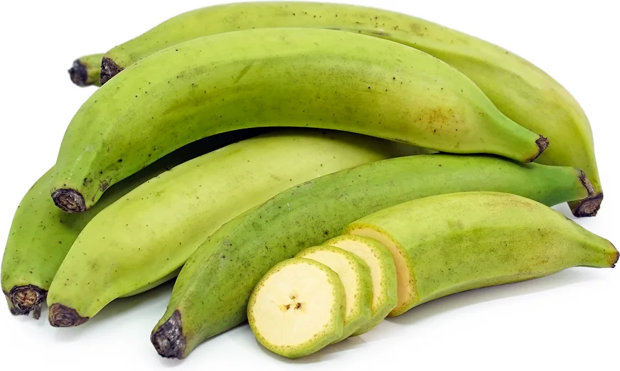 Apentu Plantain