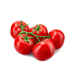 Petomech Tomato